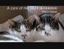 A care of me 2024(あけおめ2024) / 井上春 feat.ナクモ&重音テト