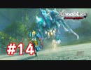 【実況】ゼノブレイドDE #14