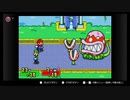 【マリオ＆ルイージRPG】　あかいヒゲとみどりのヒゲ　part13【初見実況】