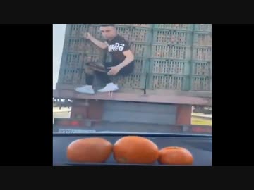 ホモと見る海外の陽キャのミカンの採り方