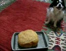 hanaとパン