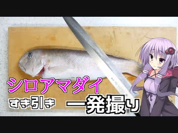 一発撮り『シロアマダイ』　【VOICEROIDキッチン】