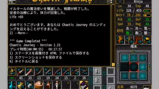 Chaotic Journey RTA(17:57)