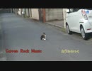 おうみみっく/幸せの青い薔薇