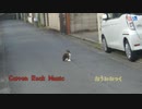 おうみみっく/ひとりもいないぼっちの街 -G Style-