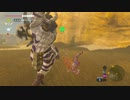 ゼルダの伝説　ブレス オブ ザ ワイルド　実況プレイPart147