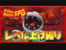レベル上げ禁止でスーパーマリオRPG クィーンフラワー戦