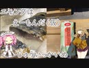 エモンダはえーもんだ（仮）じゅういっかいめ