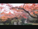 桜川市青木 薬王寺2023年11月26日