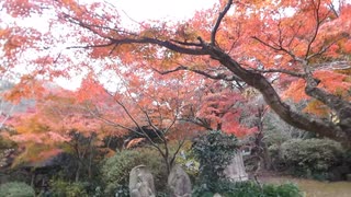 桜川市青木 薬王寺2023年11月26日