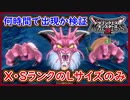 DQM3 検証 ビッグの層は何時間でSランクとXランクのみに出来るのか？Lサイズのみ！アプデ後の追憶のモグダンジョンで検証！ドラクエモンスターズ3 攻略 実況プレイ【メイルス】