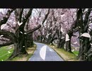 【バンドで演奏してみた】キラッ！満開スマイル /1st Street J@M (cover)【デレステ】