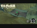 新しい土地を開拓した【ゼルダの伝説ブレスオブザワイルド】#33