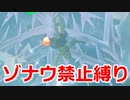 ゾナウ禁止縛りpart11【ティアキン/制限プレイ/ゼルダの伝説ティアーズオブザキングダム】