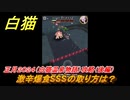白猫　激辛爆食SSSの取り方は？　正月２０２４（白猫温泉物語）攻略（後半）　ガチャキャラ　ヘルモート(輝剣)ハルジオン(竜)セレナ(竜)シエラ(拳)　＃４７　【白猫プロジェクト】