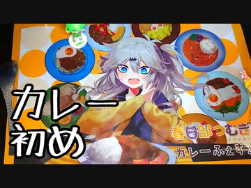 春日部つむぎがカレー初めする【海老パラク】