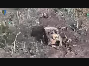 ホモと見る銃撃戦