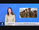 米軍指導者、コロナワクチン強制接種で軍法会議へ