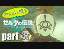 やたらよく喋る騎士 part37【ゼルダの伝説Tears of the Kingdom】