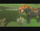 ゼルダの伝説　ブレス オブ ザ ワイルド　実況プレイPart148