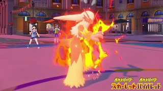 【ポケモンSV】ビルドバトンバシャーモの使い方【実況】