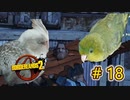 ゆっくり実況【#Borderlands2】ハミでてる！ハミでてる！