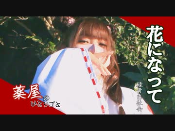 【ゆい】花になって/緑黄色社会【オリジナル即興振付】