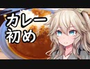 【カレー初め】年始挨拶と山田うどん
