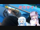 【VOICEROIDフィッシング】お正月はめで鯛！【タイラバ】