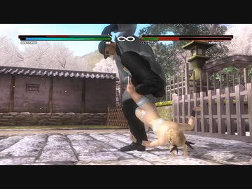 【リョナ】レオンとバイマンの股裂き日記-正月編-！(マリー＆ほのか)【DOA5LR】【※閲覧注意】【ryona】