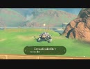 【Switch】リンクがゾナウとゼルダ探し旅【プレイ動画】part123