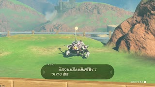 【Switch】リンクがゾナウとゼルダ探し旅【プレイ動画】part123