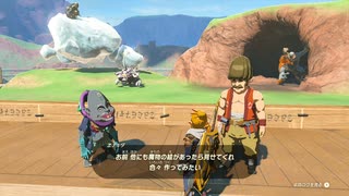 【Switch】リンクがゾナウとゼルダ探し旅【プレイ動画】part124