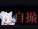 【自撮】　東北イタコ撮影会　１本目　【Voicepeak実況プレイ】