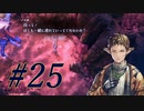 【SO2R】昔を懐かしみながら遊ぶ【#25】