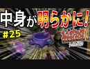 【初見実況】　名作RPG！ブレスオブファイア４のクリアを目指します！　Part25