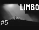 幼虫回全収＆隠しステージやってくぞ【LIMBO】＃5