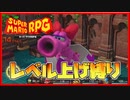 レベル上げ禁止でスーパーマリオRPG キャサリン戦