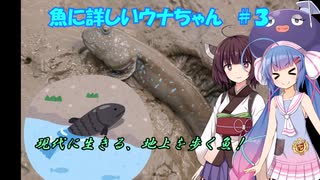 きりたんと魚に詳しいウナちゃん３　「地上をねり歩く魚」