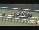 2024年1月6日　京都5R　3歳未勝利　エラトー