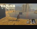 これってアイスメーカー使えばよかったんじゃ【ゼルダの伝説ブレスオブザワイルド】#34