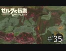 瘴気まみれの塔【ゼルダの伝説ブレスオブザワイルド】#35