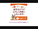 保護ねこの家譲渡会 in 天王寺
