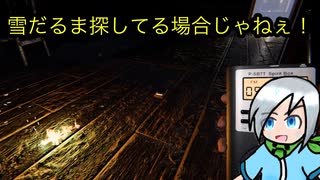 イベント続行不能なゴーストに出会ってしまった調査員〈Phasmophobia