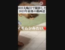 [TikTok]2023年大晦日で撮影した2023年最後の動画達