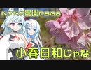 2024年1月6日　農作業日誌P866　出稼ぎの後はきりたんぽで鍋料理作ってました