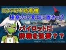 【2023年ウラル航空】おそロシア…不時着パイロット二人が辞表提出を強要されてしまう【ゆっくり解説】