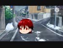 お正月はもう終わりだって？知らんな★