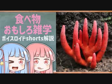食べ物関する面白い雑学wwwpart62【ボイスロイド解説】