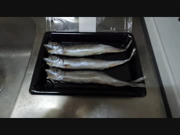 初めてのステンレスフライパンでししゃも